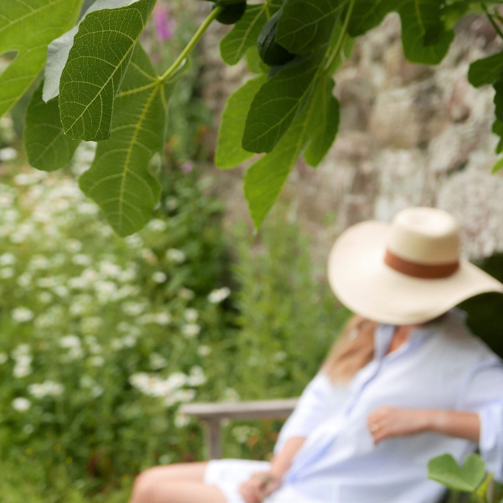 Summer inspiration- Figs