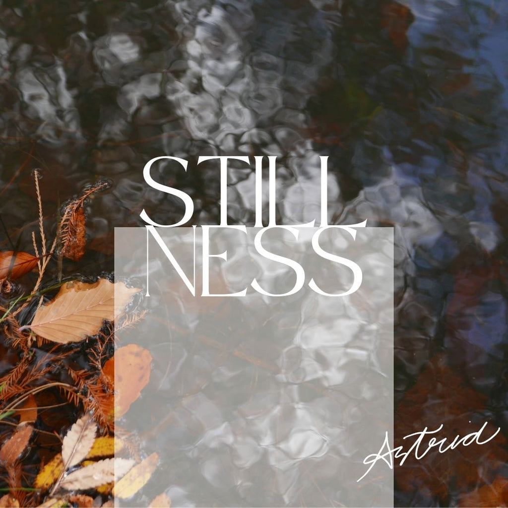 Stillness- Embrace the change of Seasons